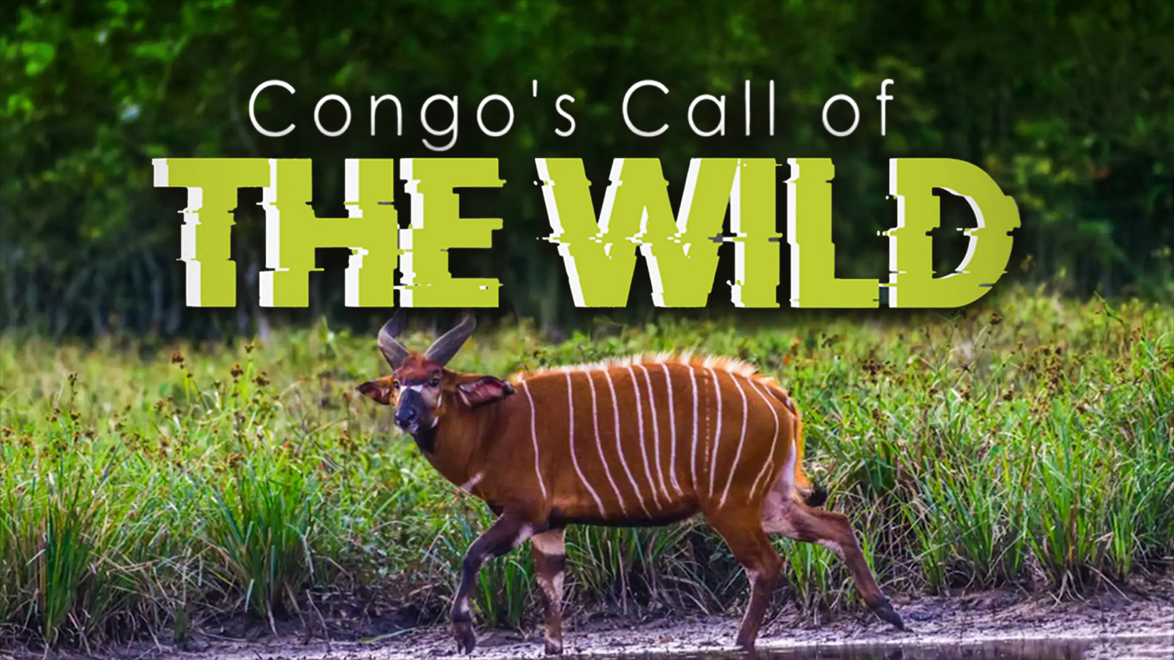 Title poster image